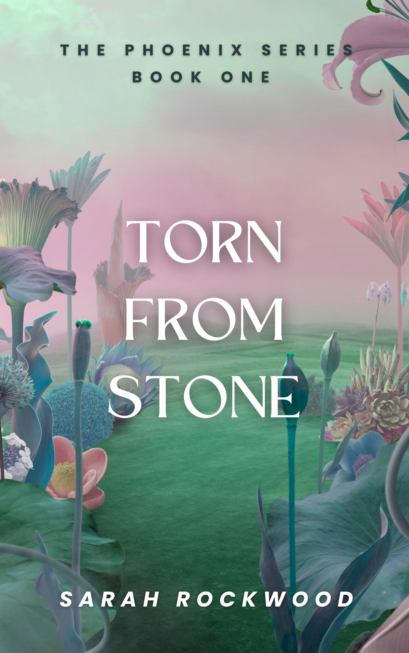 Cover of Torn From Stone